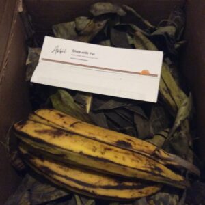 Bundle of 12 fresh Congolese plantains with free Nairobi delivery for KES 750 from Yvishop